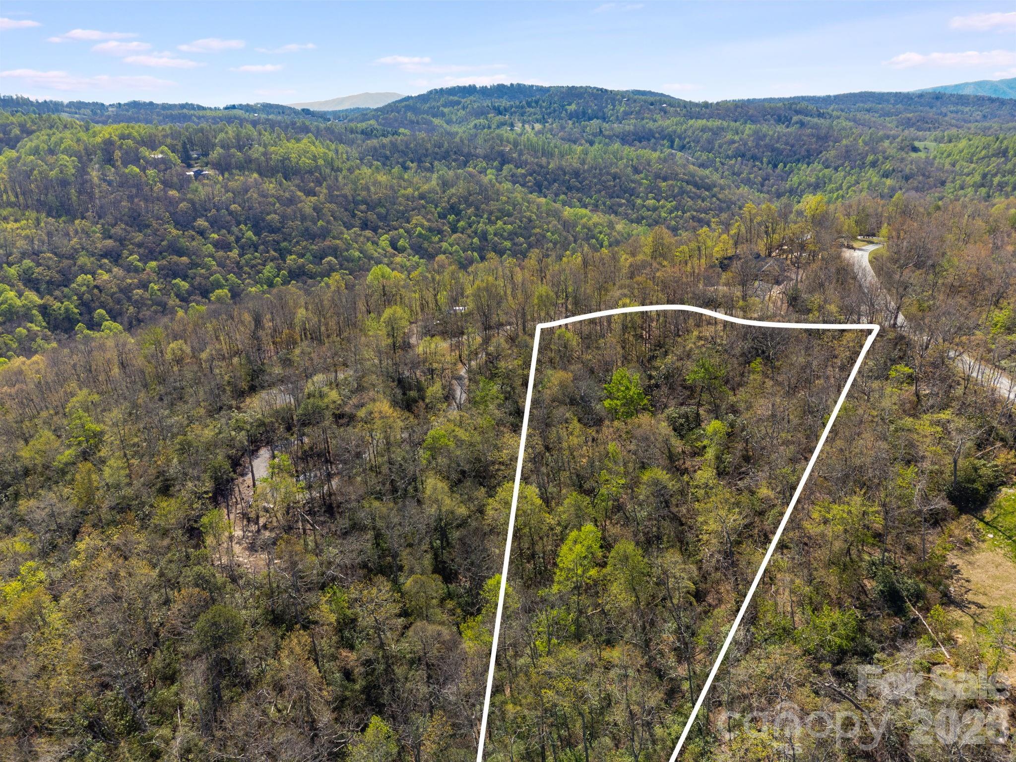 Land in Spruce Pine 4