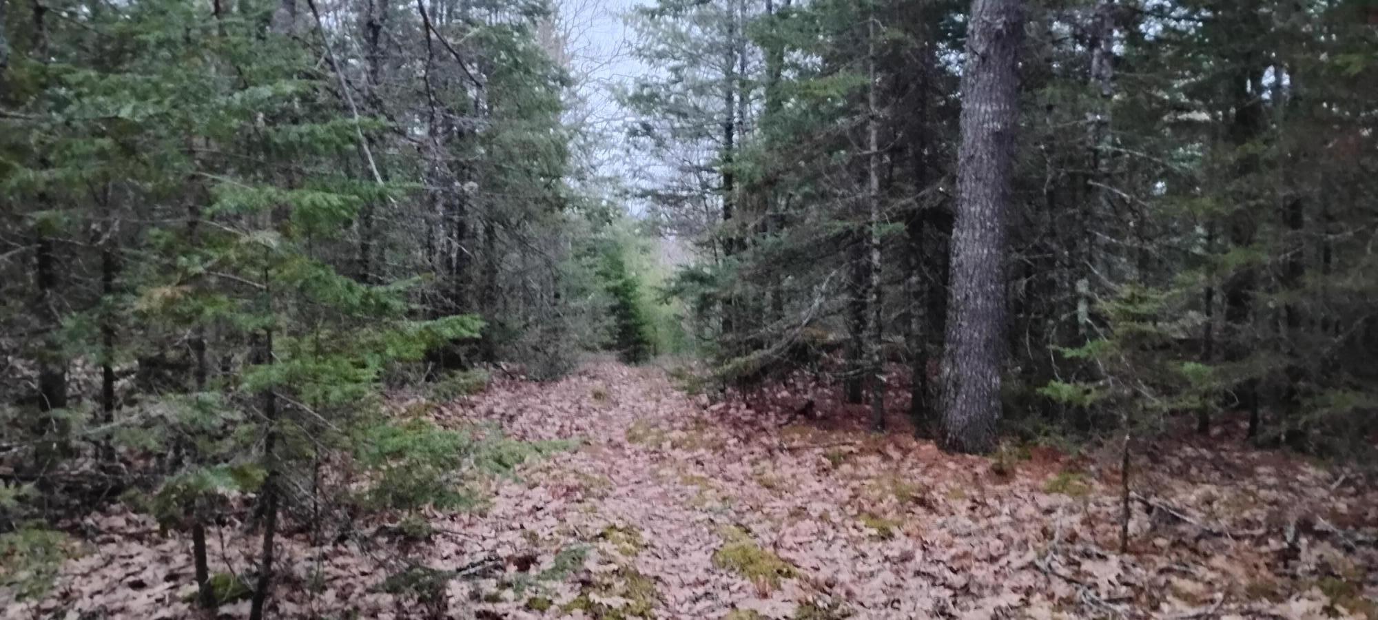 Land in Pembroke 3