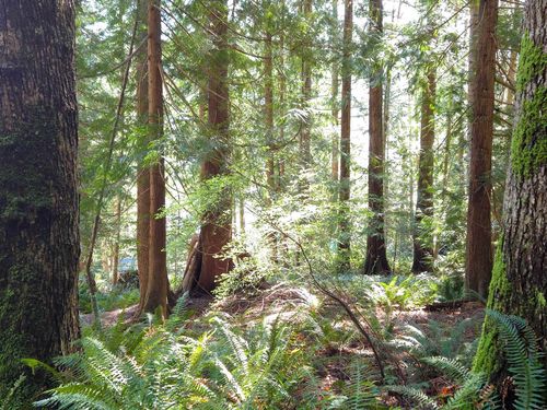 Lot 5 Gavin Road, Keats Island, BC, V0N1V0 | Card Image