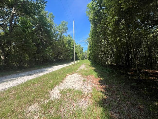Lot 1 Old Wire Rd, Home with 0 bedrooms, 0 bathrooms and null parking in FORT WHITE FL | Image 15
