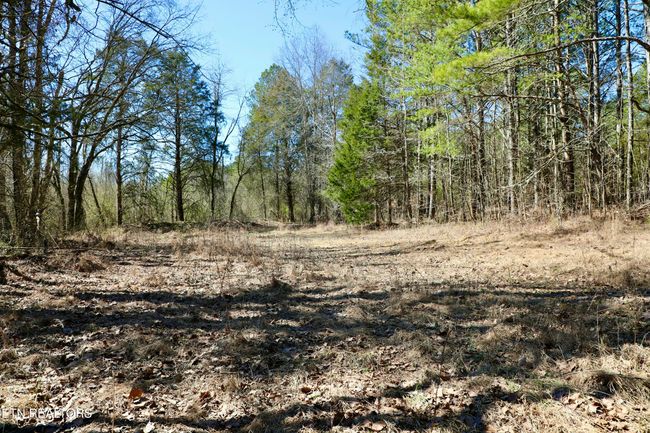 346 Chestuee Rd, House other with 3 bedrooms, 1 bathrooms and null parking in Calhoun TN | Image 22