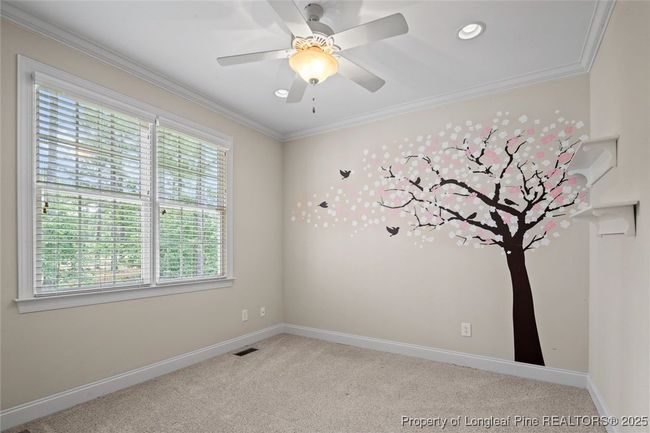 259 Rolling Pines Dr, House other with 4 bedrooms, 4 bathrooms and null parking in Spring Lake NC | Image 34