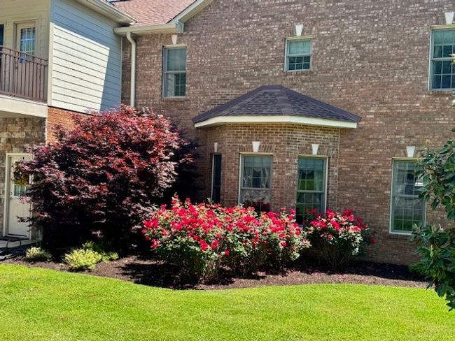 132 Normandy Tullahoma Rd, Home with 0 bedrooms, 0 bathrooms and null parking in Normandy TN | Image 15