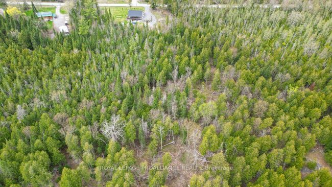 1554 Shannon Rd, House other with 3 bedrooms, 3 bathrooms and 6 parking in Plainfield ON | Image 46