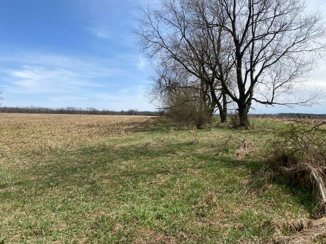 4500 S 42 Nd St, Home with 0 bedrooms, 0 bathrooms and null parking in Climax MI | Image 9