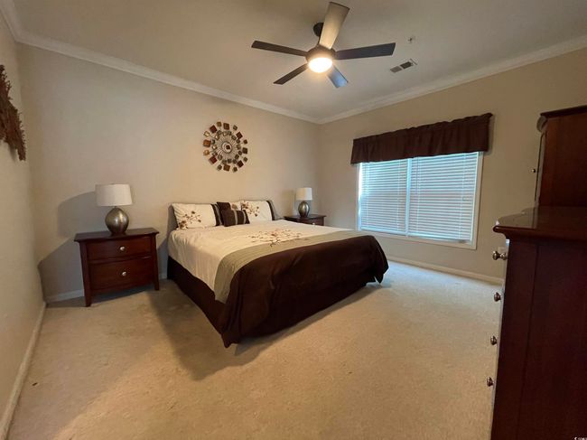 Sundrenched with Natural Light! | Image 17