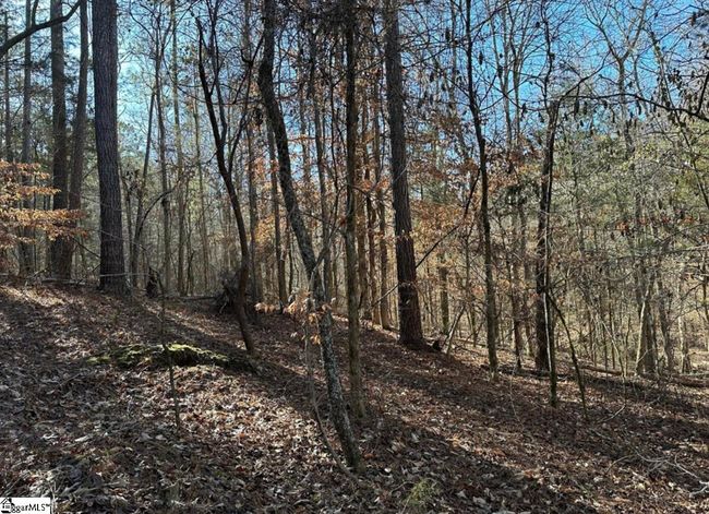 00 Terrapin Pointe Rd, Home with 0 bedrooms, 0 bathrooms and null parking in Hodges SC | Image 6