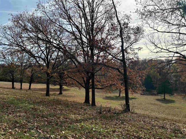 00 Cadron Gap Rd, Home with 0 bedrooms, 0 bathrooms and null parking in Conway AR | Image 48