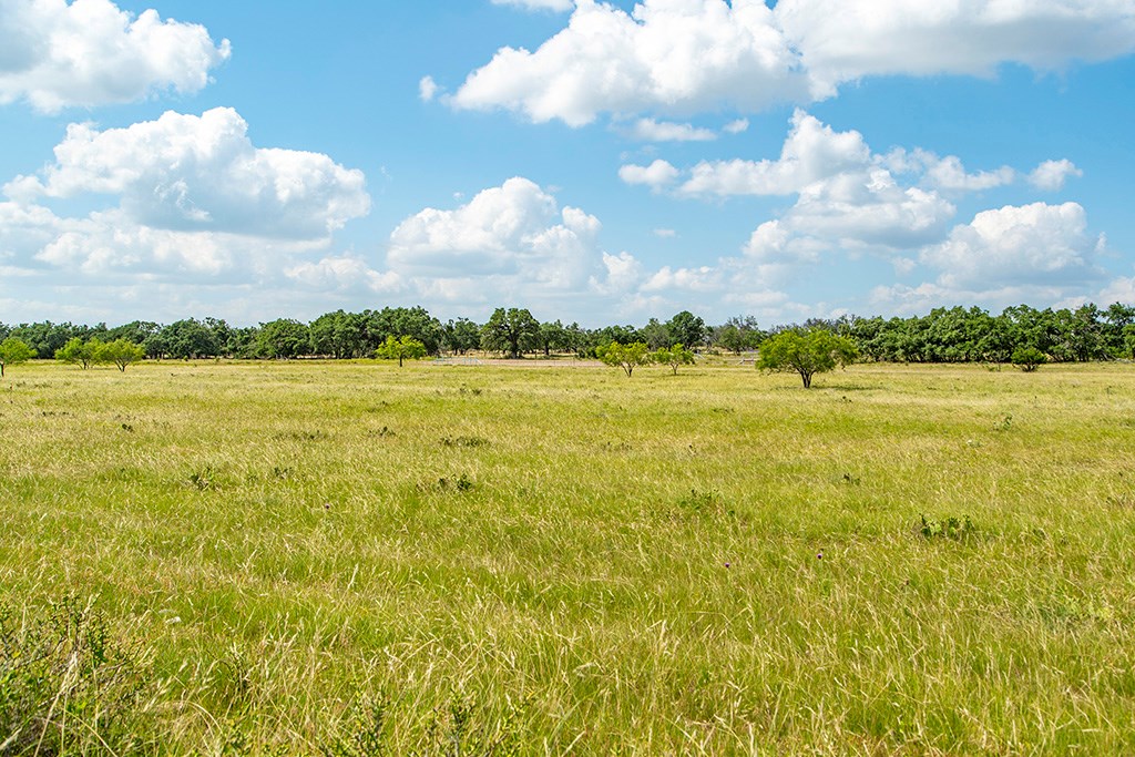 Land in Harper 3