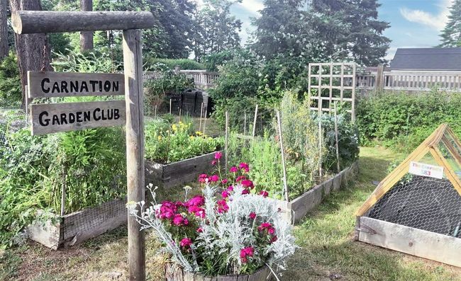 Communal Veggie garden! | Image 33