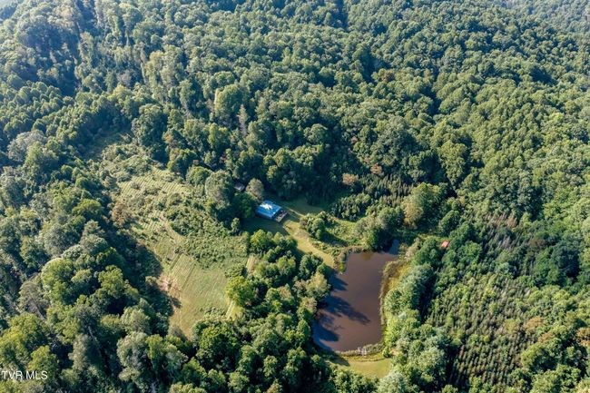 306 Bear Branch Rd, Home with 0 bedrooms, 0 bathrooms and null parking in Roan Mountain TN | Image 11