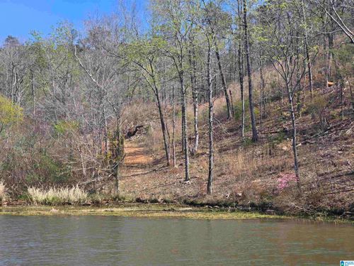 16-Lot 16 Eagle Point Trce, ROCKFORD, AL, 35136-1152 | Card Image
