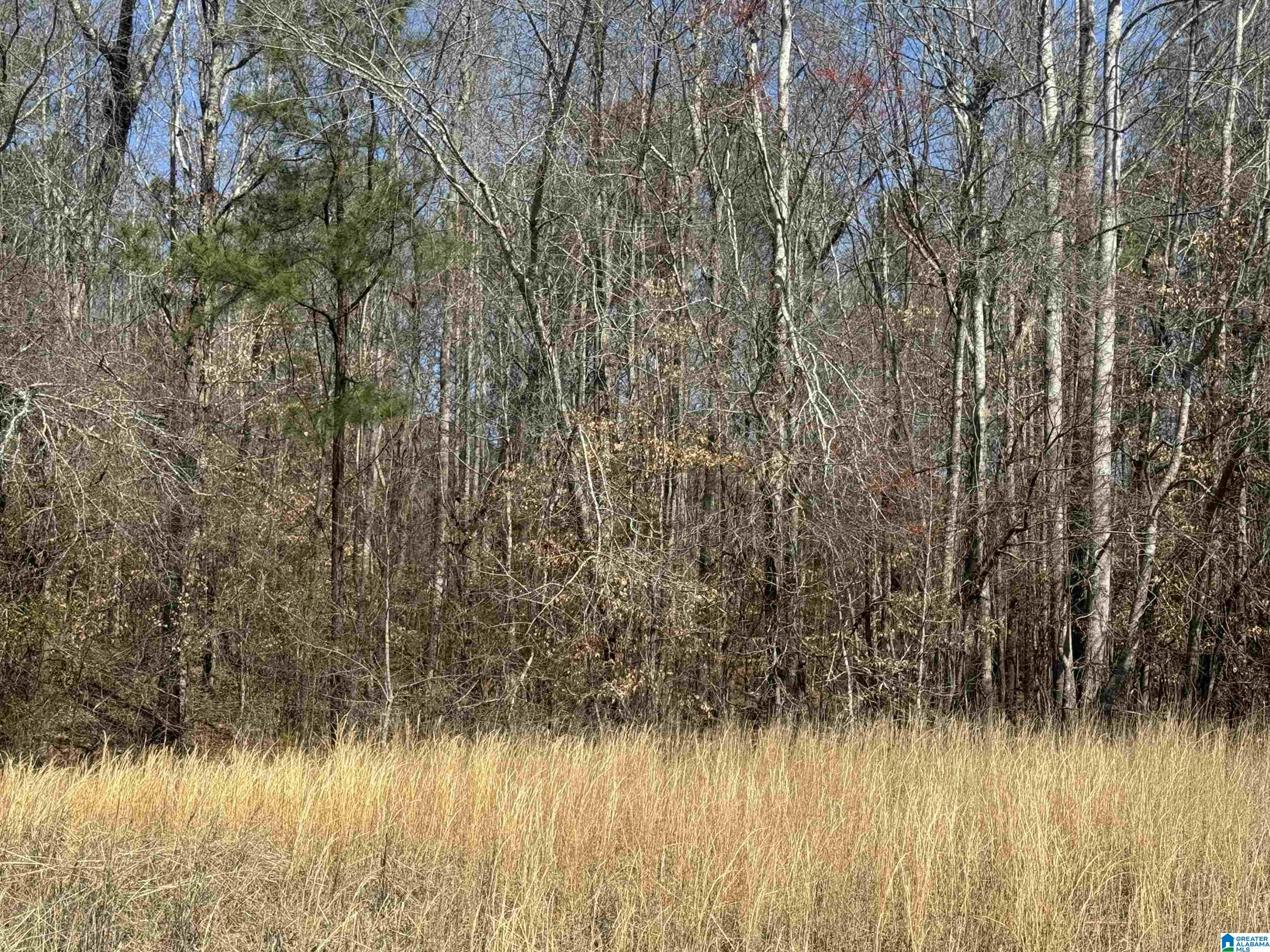 Land in ROANOKE