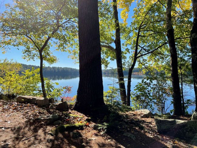 493 Center Harbor Neck Rd, House other with 2 bedrooms, 1 bathrooms and null parking in Center Harbor NH | Image 10