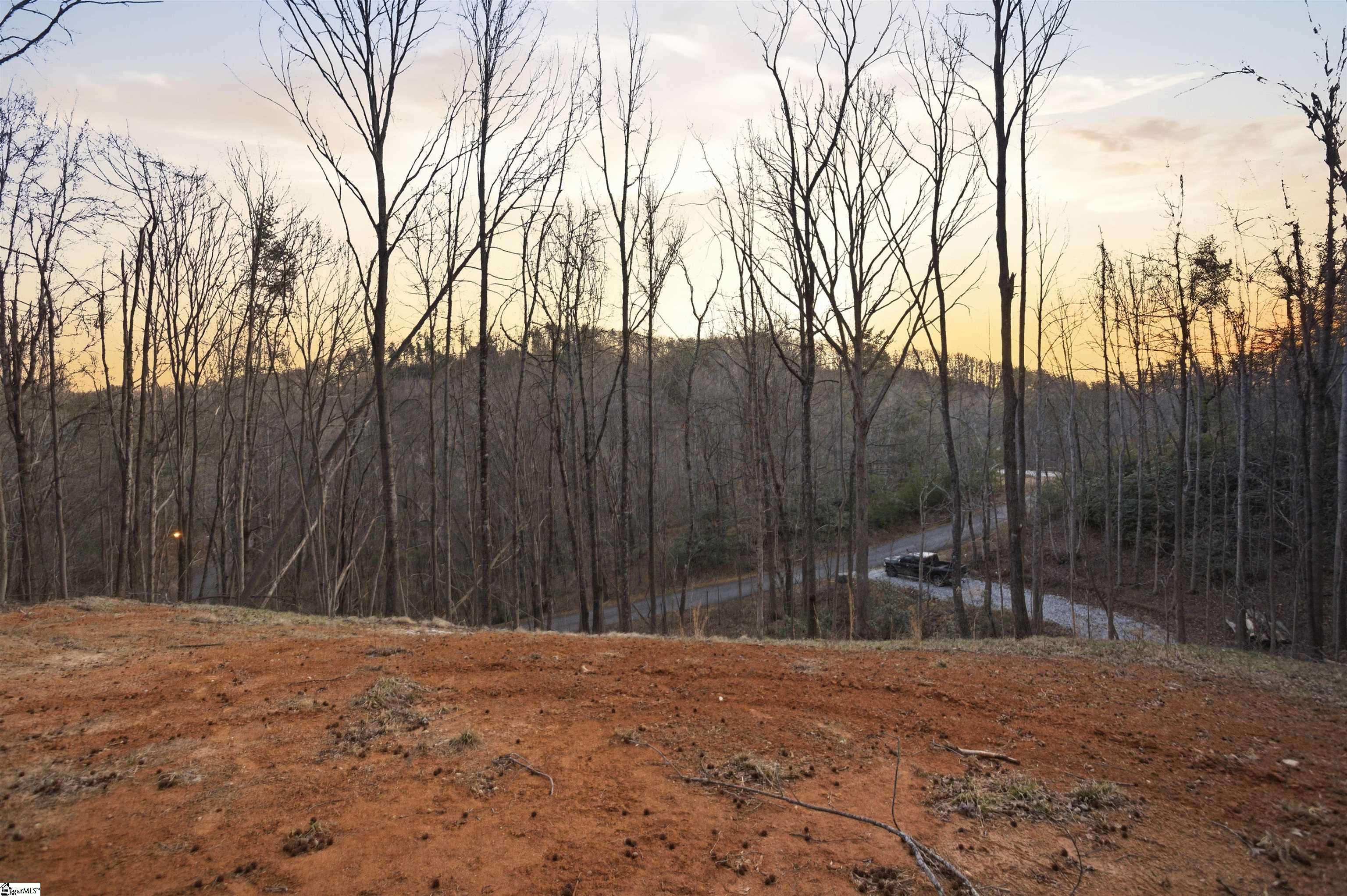 Residential in Landrum 5