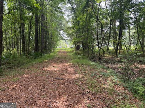 19.5 ACRES Old Highway 17 Ne, Townsend, GA, 31331 | Card Image