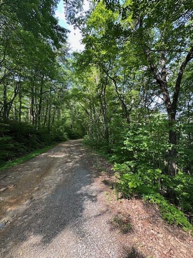 16 Ac Campbell Cove Creek Rd, Home with 0 bedrooms, 0 bathrooms and null parking in Turtletown TN | Image 5