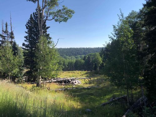 lot-65-168 Mertz Pl, Angel Fire, NM, 87710-8076 | Card Image
