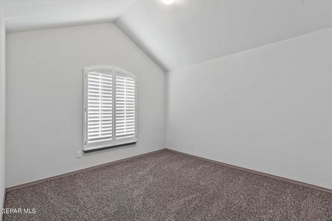 Myrtle 05 | Image 5