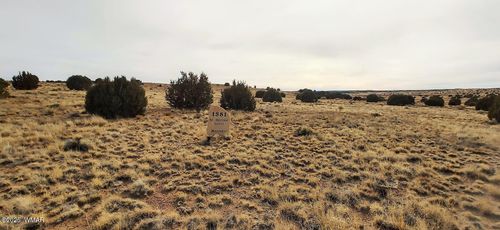 lot-118a-1581 W Harvest Ct, Taylor, AZ, 85939-2426 | Card Image
