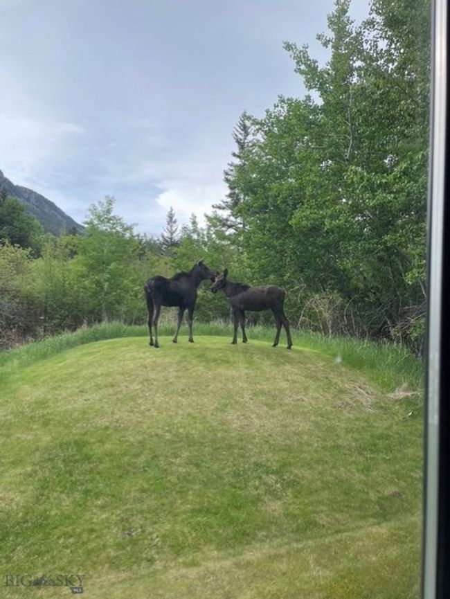 23 Moose Haven Loop, House other with 4 bedrooms, 3 bathrooms and null parking in Mcleod MT | Image 51