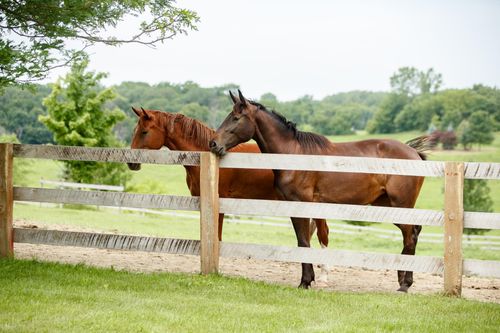 9685 County Road 13 Se, Delano, MN, 55328-4528 | Card Image