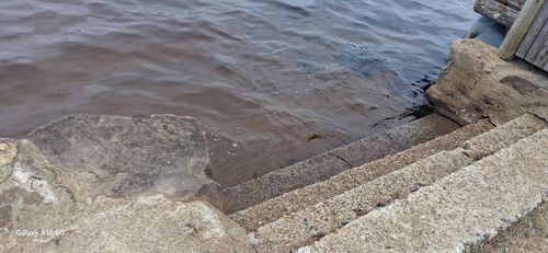 00 Island Rd, Lakeville, MA, 02347 | Card Image