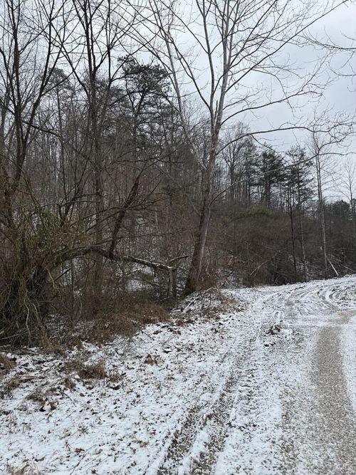 0 Briar Fork Rd, Sandy Hook, KY, 41171 | Card Image