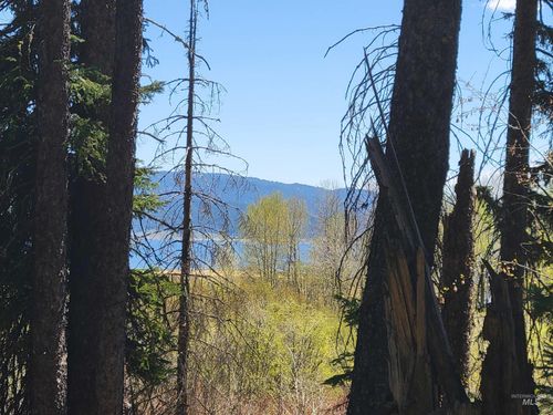 1602 Bear Trail Loop, Donnelly, ID, 83615 | Card Image
