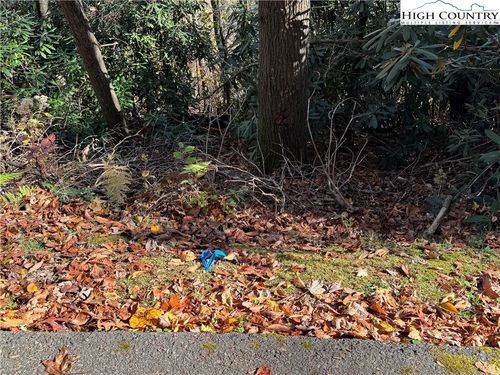 TBD Hews Cir, Blowing Rock, NC, 28605 | Card Image