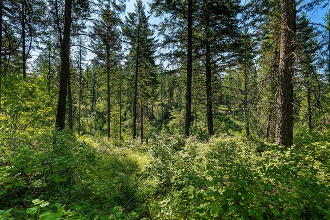 183 Pinto Trl, Home with 0 bedrooms, 0 bathrooms and null parking in Bigfork MT | Image 29