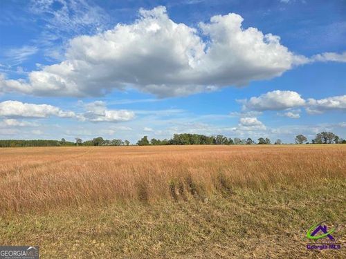 17 Hay Field Road, cochran, GA, 31014 | Card Image