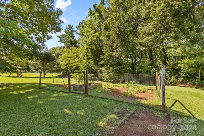 backyard | Image 17