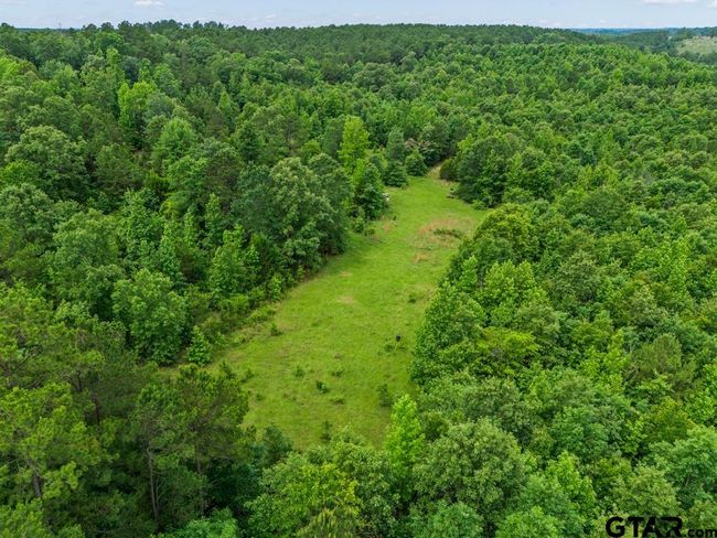 3536 &amp; TBD Cr 1579, Home with 4 bedrooms, 3 bathrooms and null parking in Avinger TX | Image 11