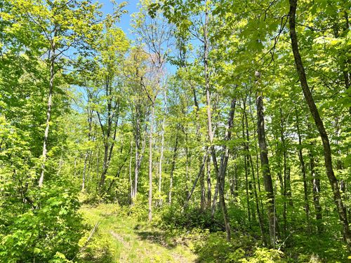 Lot 5 Timbercrest Way, Conover, WI, 54519-9365 | Card Image
