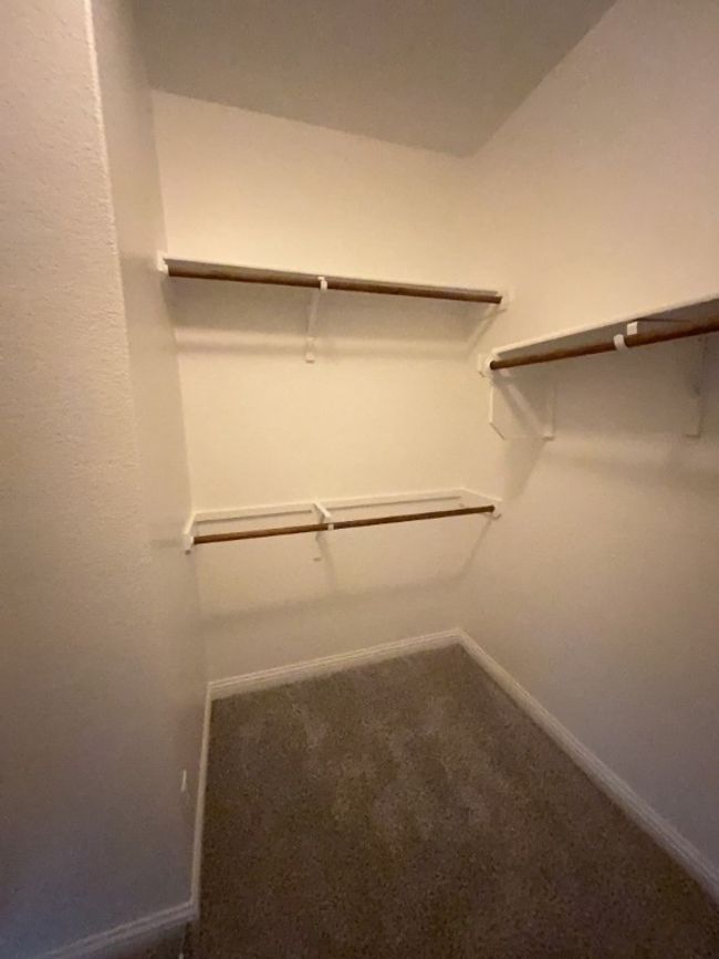 Spacious closet featuring carpet flooring | Image 15