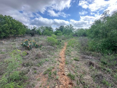 17603 Shepherd Rd, Atascosa, TX, 78002 | Card Image