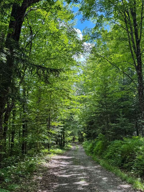 273 Guyette Road, Lowell, VT, 05847 | Card Image