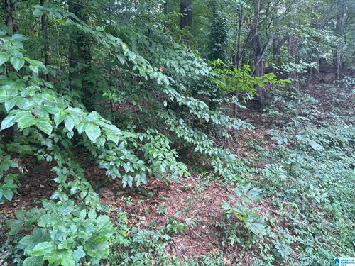 23-3661 Paver Drive, Tuscaloosa, AL, 35405 | Card Image