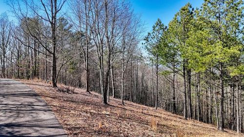 Lot 29 Loftis Mountain Rd, Blairsville, GA, 30512 | Card Image