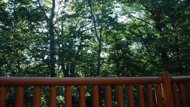 12-3 - 2643 N Il Route 178, Townhouse with 1 bedrooms, 4 bathrooms and 2 parking in Utica IL | Image 22