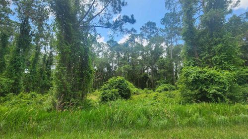 123 Se 2nd St, GEORGETOWN, FL, 32139 | Card Image
