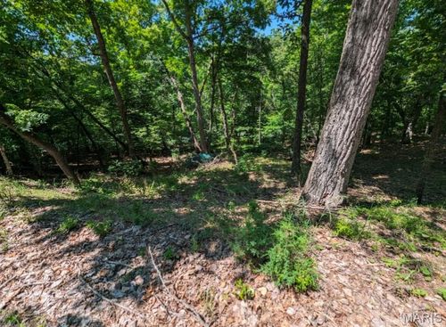 23 Denby Ln, Lake Sherwood, MO, 63357-1394 | Card Image