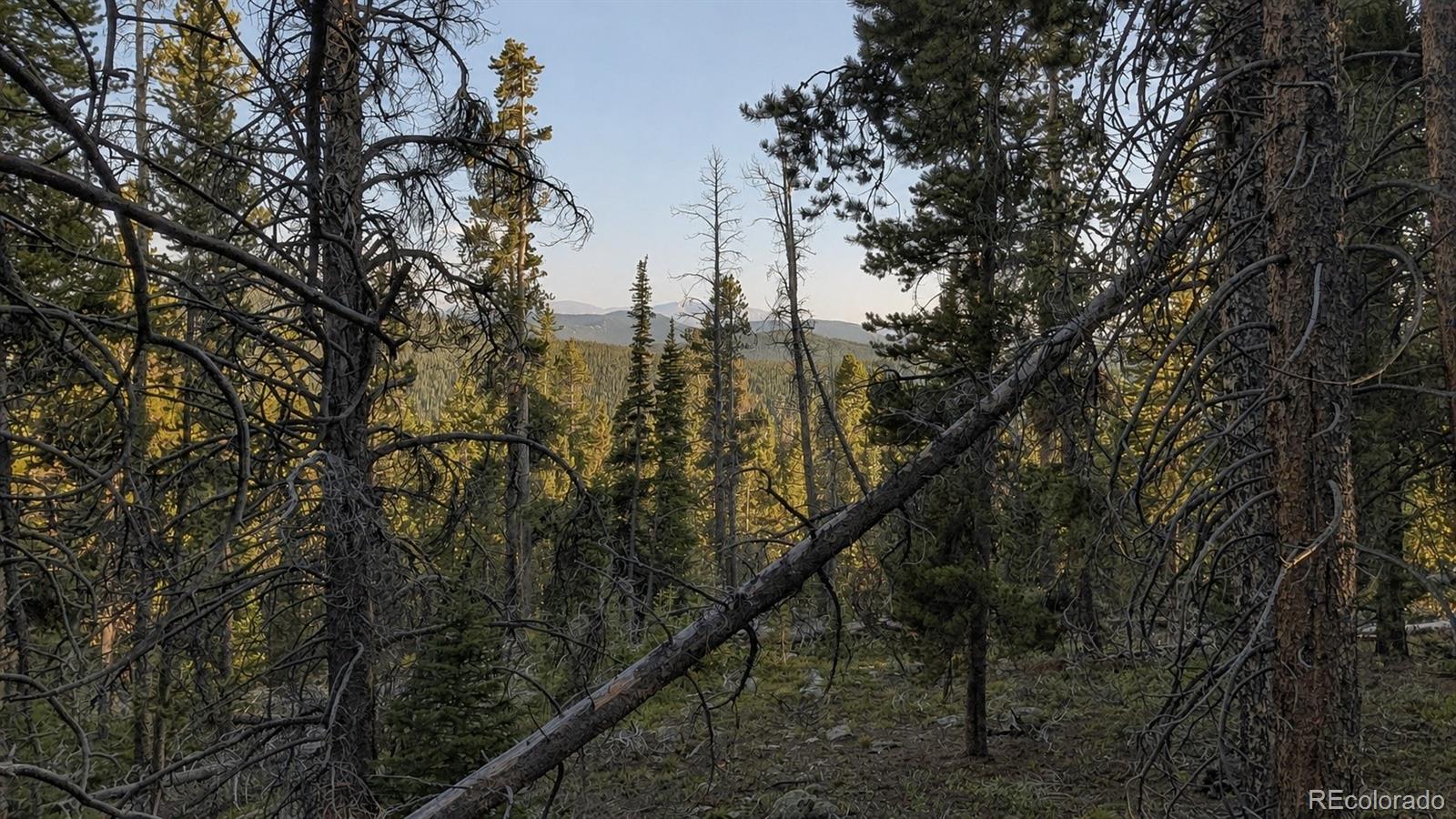 Land in Idaho Springs 2