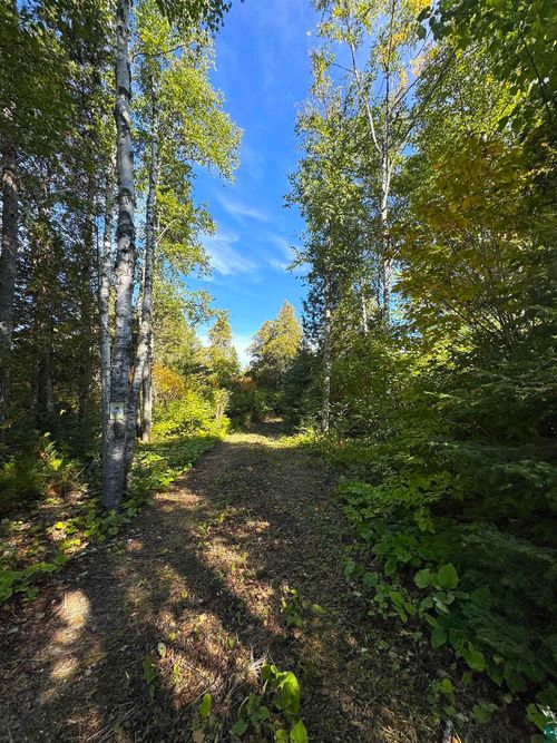 85 Powers Lake Rd, Hovland, MN, 55606 | Card Image