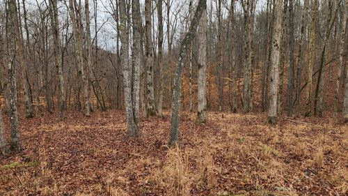 0 Riverwatch Trce, Sparta, TN, 38583 | Card Image