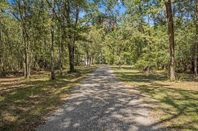 Well maintained gravel drive leads to the secluded and serene home site. | Image 2