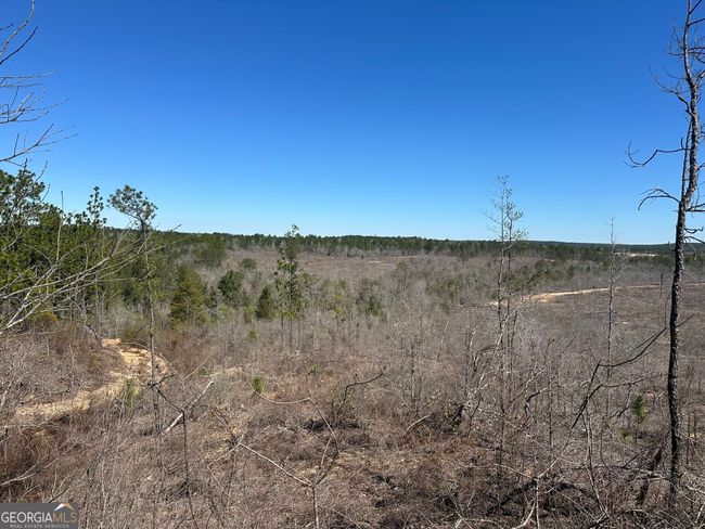 004 Mount Sinai Church Rd, Home with 0 bedrooms, 0 bathrooms and null parking in Butler GA | Image 8