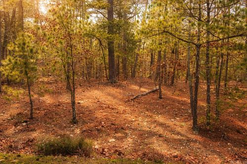 6 Calahorra Cir, Hot Springs Village, AR, 71909 | Card Image