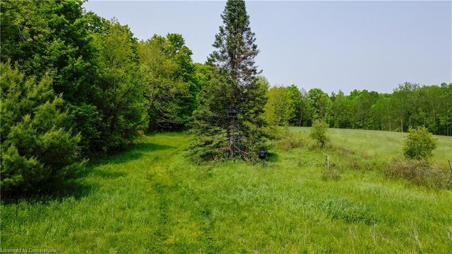 9609 O'dwyers Rd, House other with 3 bedrooms, 1 bathrooms and 8 parking in Minto ON | Image 27